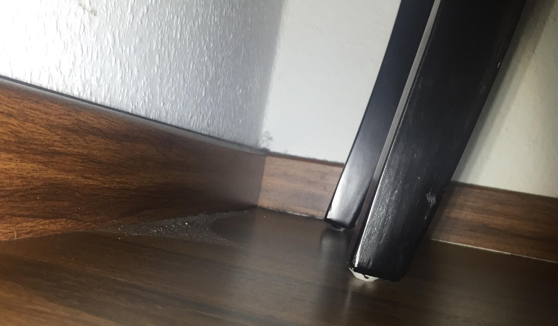Super bei Katzenhaaren