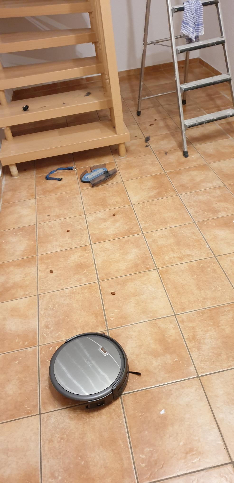 Gut für Allergie