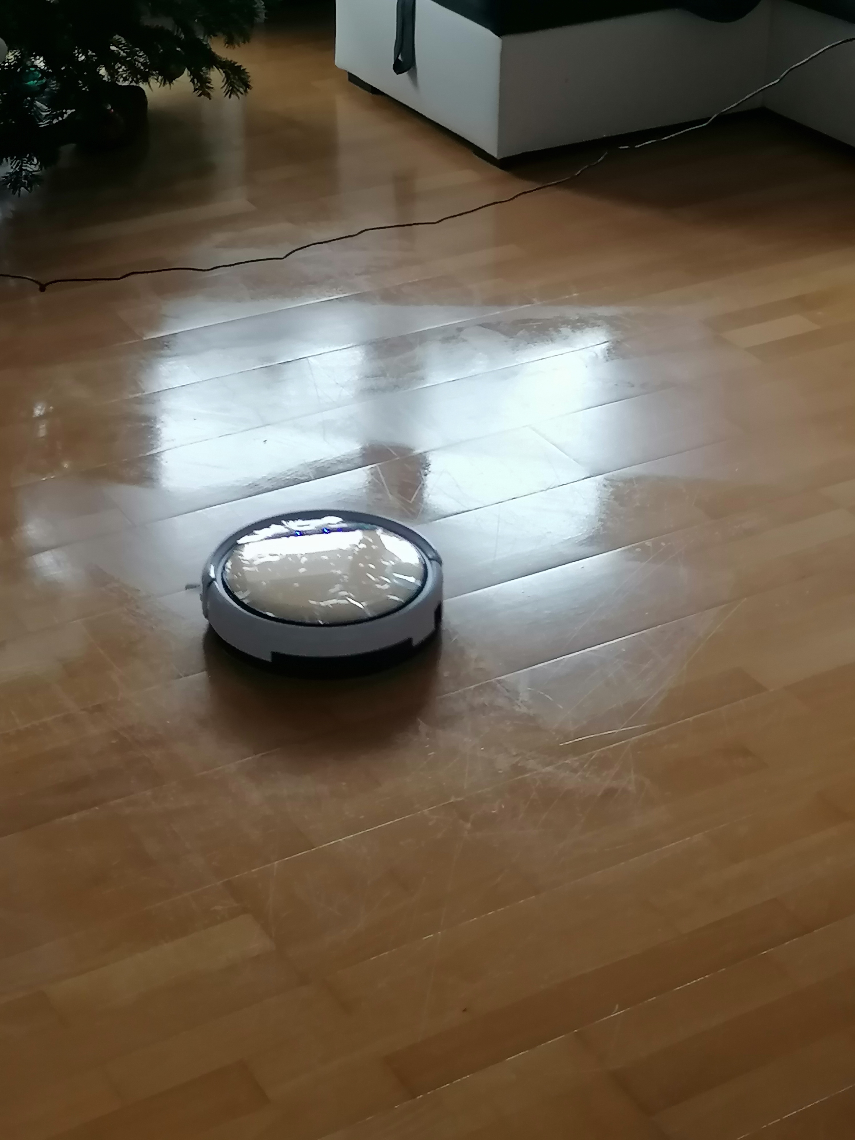Alexa klappt